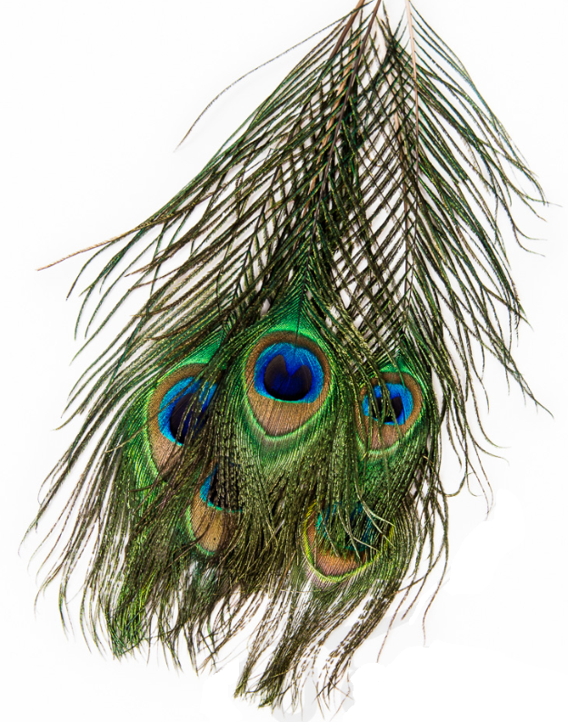 Veniard, Peacock Eye Tops - Luonnolliset perhomateriaalit - 053526042016 - 1