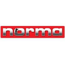 Norma 300 WSH jaktmatch FMJ 9,7g - Norma - 7393923175737 - 1