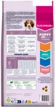 Eukanuba Puppy Sm./Med. Lamb&Rice 12kg - Eukanuba koiranruoka - 8710255201818 - 2
