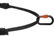 Non-Stop juoksuvyö, Canix Belt 2.0 - Koiratarvikkeet - 7071652123517 - 4