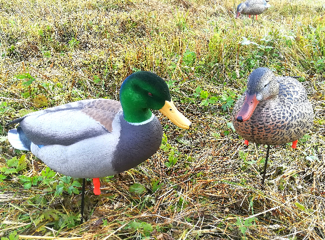 GHG Pro-Grade Full Body Mallards, Active - Houkutuskuvat - 0700905722167 - 1