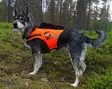 Kardog Jehu kelluttava Gps- huomioliivi - Koiratarvikkeet - 20150588888 - 2