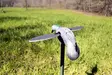 Pyöriväsiipinen kyyhkynkuva, Mojo Dove - Houkutuskuvat - 816740002828 - 2