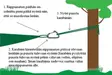 DMM Karabiint, DD Hammocks - Teltat, makuualustat ja riippumatot - 4030454000479 - 2