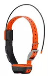 Garmin Alpha 300/T20 Bundle - Garmin koiratutkat - 989g899 - 4