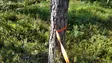 Kardog IITA, Talutin, Oranssi - Koiratarvikkeet - 6430067783129 - 2