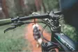 Non-Stop dogwear Bike Antenna - Koiratarvikkeet - 7071652010009 - 5