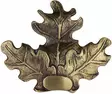 Villisian hampaan kiinnityskoriste - Trofee tuotteet - 4250392310249 - 1