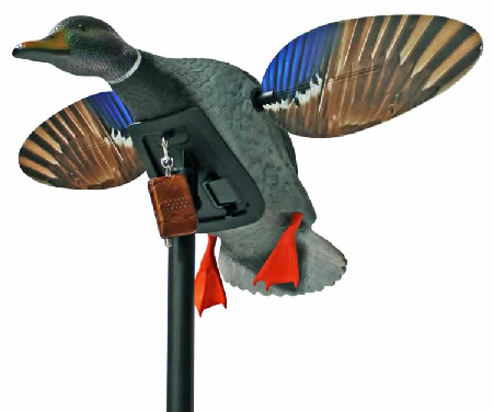 Mojo Robosorsa, Mini Mallard Drake - Houkutuskuvat - 0816740004099 - 1