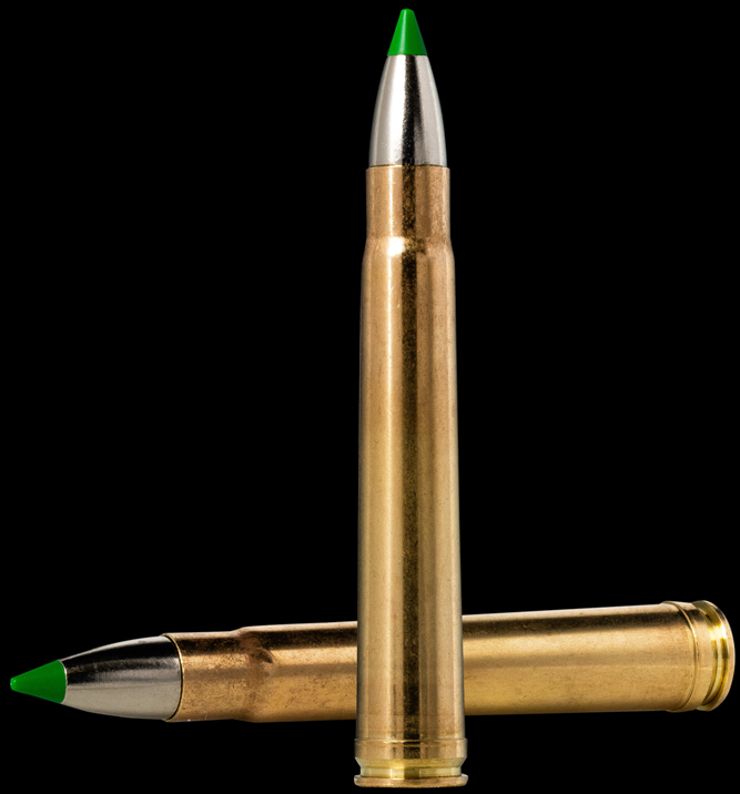 Norma 375 H&H Mag. EcoStrike 16,2g - Norma - 7393923324579 - 1
