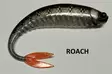 Johnny Baits Finland 12"INCHER-jigi - Jigit ja Shadit - 12incher - 9