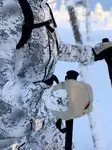 Alaska Tundra Mitten, rukkaset - Alaska Housut - A5250004BTS - 2