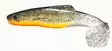 Orka Shad 18cm jigi, 1kpl - Jigit ja Shadit - 2020-S - 16