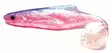 Orka Shad 18cm jigi, 1kpl - Jigit ja Shadit - 2020-S - 7