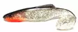 Orka Shad 18cm jigi, 1kpl - Jigit ja Shadit - 2020-S - 15