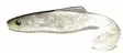 Orka Shad 18cm jigi, 1kpl - Jigit ja Shadit - 2020-S - 9