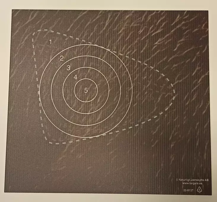 Targets ampumataulu, Karhu osumaaluesivu - Taulut ja taulutarvikkeet - 22-513X - 1