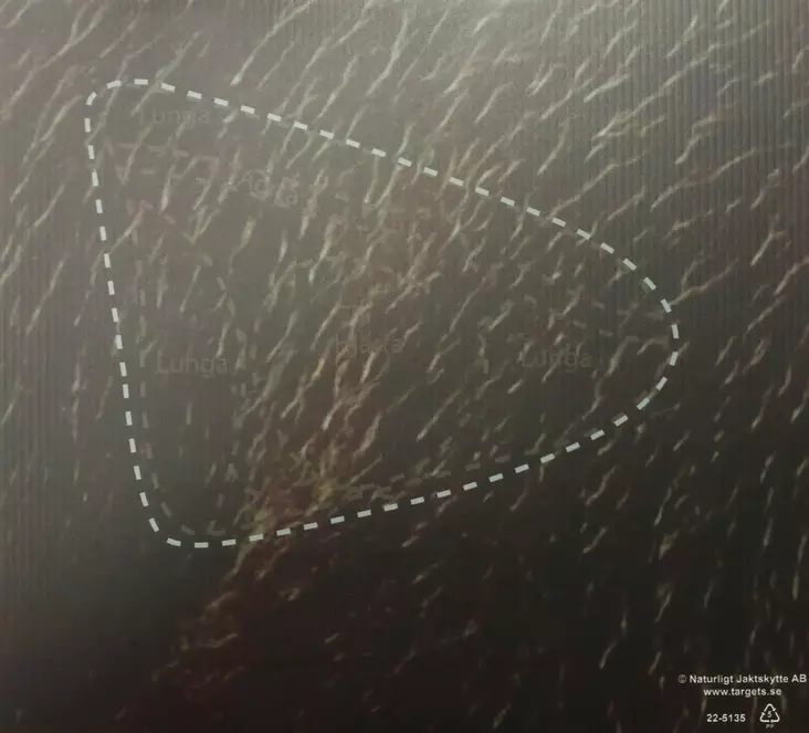 Targets ampumataulu, Karhu osumaaluesivu - Taulut ja taulutarvikkeet - 22-513XX - 1