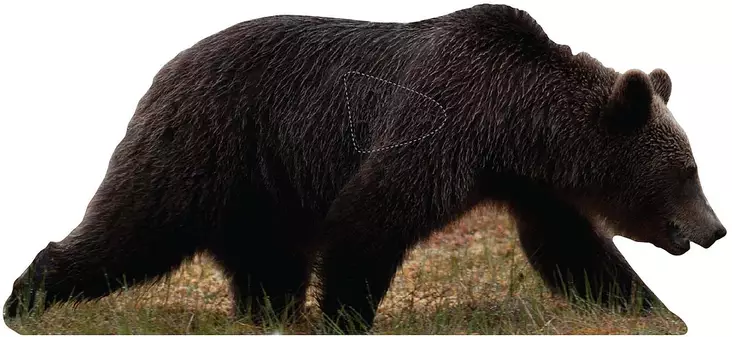 Targets ampumataulu, Karhu sivusta - Taulut ja taulutarvikkeet - 22-510X - 1