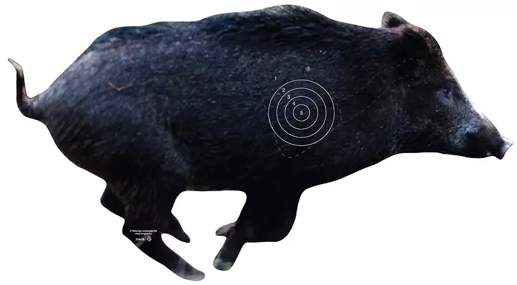 Targets, Villisika juokseva renkailla - Taulut ja taulutarvikkeet - 22-517X - 1