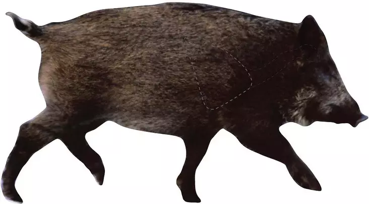 Targets ampumataulu, Porsas sivusta - Taulut ja taulutarvikkeet - 22-510Z - 1